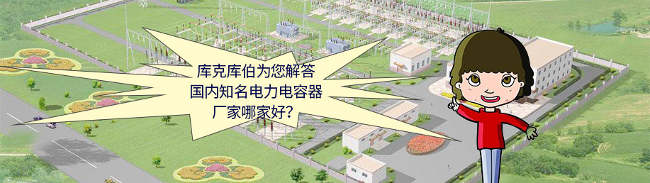 國內知名電力電容器廠家哪家好? 國內知名電力電容器廠家哪家好?